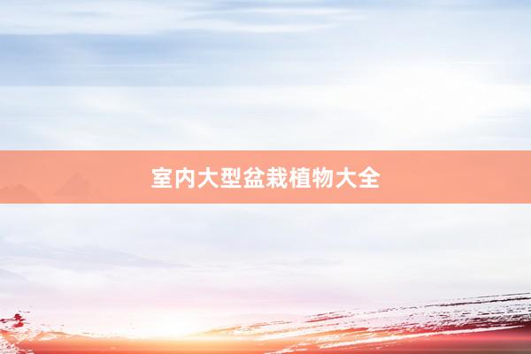 室内大型盆栽植物大全