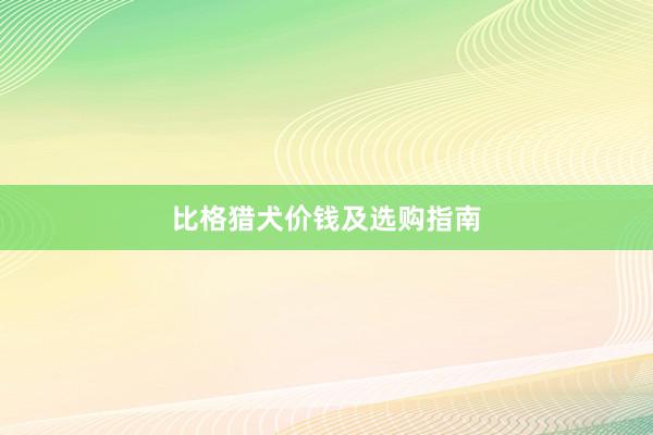 比格猎犬价钱及选购指南