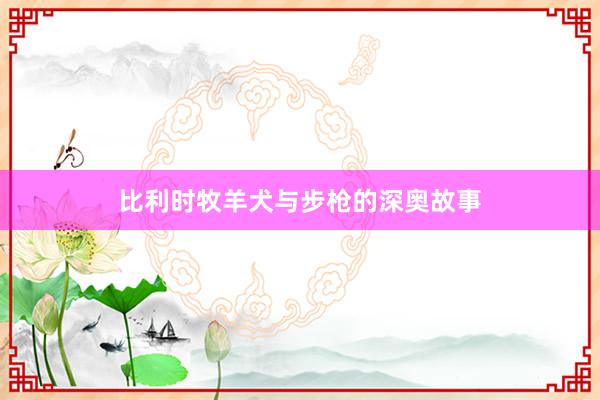 比利时牧羊犬与步枪的深奥故事